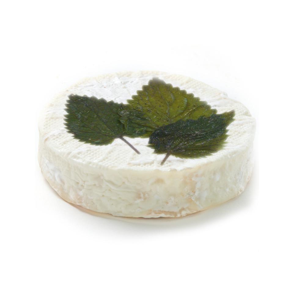 Nettles Gone Wild Surface ripened soft cheese made from 100% fresh local Goat s milk.