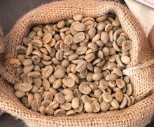 The supply chain process of Peruvian coffee