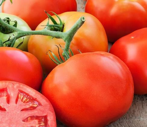 Tasty new tomato developed by the same breeder as Early Girl, produces blemish-free fruits about a third