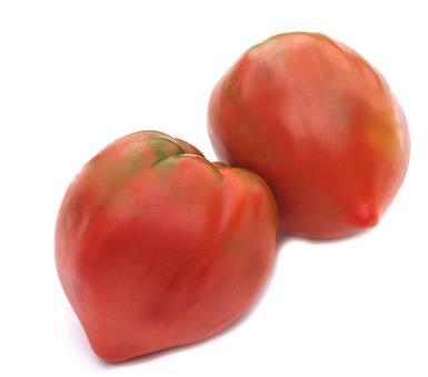 Beautiful, deep, dusky purple-pink color, superb sweet flavor, and very-large-sized fruit. Try this one for real oldtime tomato flavor! Indeterminate. 80-90 days.