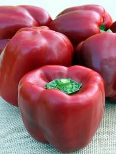65 Days Lunchbox Red Sweet Snacking Peppers A remarkably sweet and flavorful mini red snack pepper! A very popular snacking pepper, The 2 ½ fruit is sweet and crunchy.