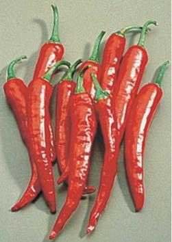 Hot Peppers Poblano One of the most popular in Mexico! Loads of mildly pungent, 4" heart-shaped fruits that ripen from dark green to deep red. Called Ancho when dried, Poblano when fresh.