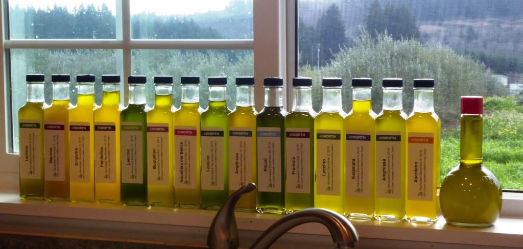 High quality single varietal olive oils are the hardest to make (blends are made by blending complimentary cultivars).