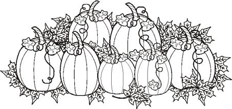 Pumpkin Work Sheet Look at the pumpkin. Answer each question Pumpkin 1 Pumpkin 2 Pumpkin Color Size: How tall? Size: How heavy? Size: How big around?