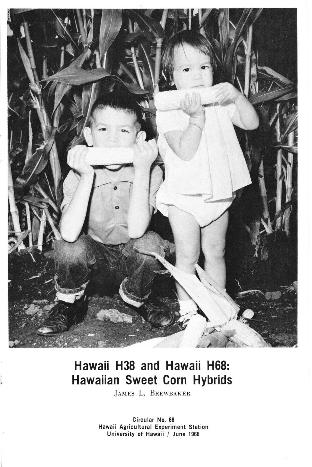 Hawaii H38 and Hawaii H68: Hawaiian Sweet Corn Hybrids JAMES L.