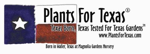 1980 Bowler Road Waller, TX 77484 800.931.9555 936.931.9927 Fax Check out our Websites! www.magnoliagardens.com www.plantsfortexas.