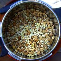 Cover the pot and put in the refrigerator to soak overnight. Or to save time: Boil the beans for 2 minutes.
