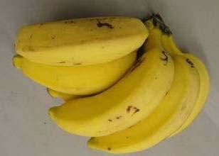 4 3 2 Banana 0 Gy 400 Gy 800