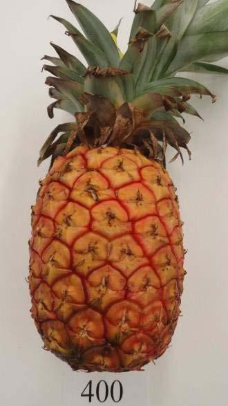 Pineapple: