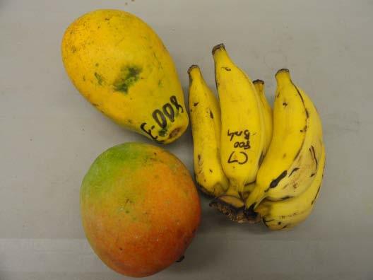 fruit have similar