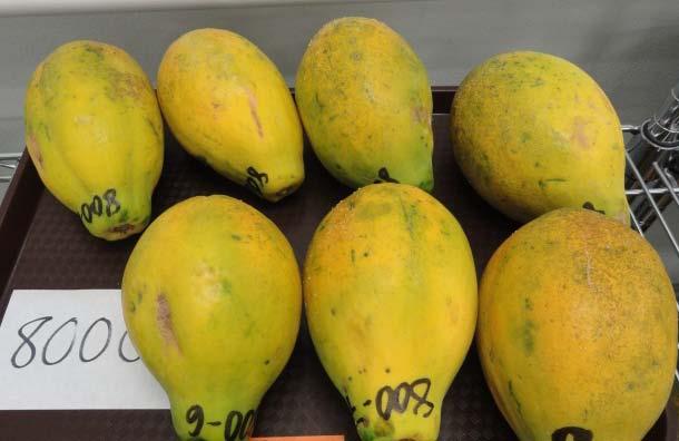 papaya, mango Need to test this mixture.