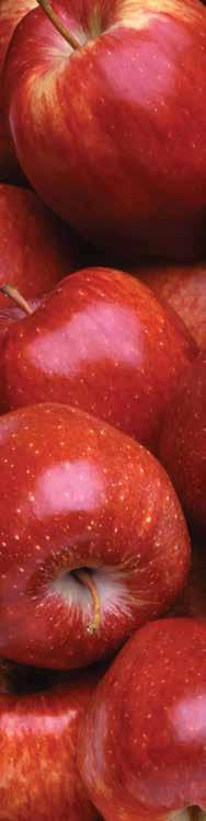 Application Rates CROP DISEASE RATE COMMENTS PER 100L WATER PER HECTARE FRUIT CROPS Apples Pears (including Nashi) Black spot 110g 2.2kg Apply as a full cover spray.