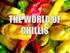 What s in a Word. Chile Used by the Chile Institute Chilli Used by the British Chili Used by most Americans but also refers to the dish