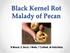 Black Kernel Rot Malady of Pecan. B Wood, C Bock, l Wells, T Cottrell, M Hotchkiss