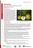 Breadfruit. Peninsula garden notes. Uses Why grow it? Before you start