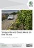 Vineyards and Good Wine on the Vltava
