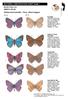 BUTTERFLY IDENTIFICATION CHART Sheet 1. MOSTLY BLUE Medium sized butterflies - 25mm - 60mm wingspan MY BUTTERFLY IS: