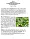 雲林茶 Cloud Forest Teas Personally Selected by Kenneth Cohen  Summer 2017 Chinese Tea Sale