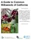 A Guide to Common Milkweeds of California