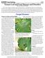 Plant Pathology Tomato Leaf and Fruit Diseases and Disorders Megan Kennelly, Plant Pathologist. Fungal Diseases