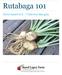 Rutabaga 101. Never heard of it? Discover this gem