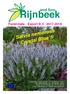 Rijnbeek. Salvia nemorosa Crystal Blue. and Son. Perennials - Export B.V