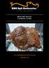 BEEF SPIT ROAST COOKING GUIDE