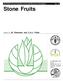 Stone Fruits. edited by M. Diekmann and C.A.J. Putter. FAO/IPGRI Technical Guidelines for the Safe Movement of Germplasm. No. 16