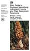 Field Guide to Common Macrofungi in Eastern Forests and Their Ecosystem Functions