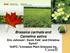 Brassica carinata and Camelina sativa Eric Johnson1, Kevin Falk1 and Christina Eynck2 1AAFC; 2Linnaeus Plant Sciences Inc.