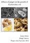 Effects of ginger on the growth of Escherichia coli