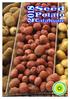 CASABLANCA Casablanca seed potatoes are a new, white-skinned first early with the potential to beat Winston on the