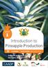 Introduction to Pineapple Production