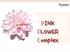 Pink flower. Water lily. Cosmos. Prunus Mume Flower