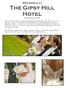 Weddings at The Gipsy Hill Hotel