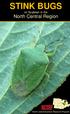 STINK BUGS. North Central Region. on Soybean in the. North Central Soybean Research Program