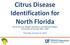 Citrus Disease Identification for North Florida