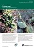 Prickly pear. Fact sheet. Opuntia, Nopalea and Acanthocereus spp.