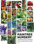 RAINTREE NURSERY. The finest fruit cultivars from around the world