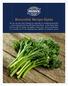 Broccolini Recipe Guide