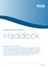 Haddock. Seafood Industry Factsheet. Market overview: haddock