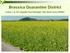 Brassica Quarantine District. Lindsey J. du Toit, Vegetable Seed Pathologist, WSU Mount Vernon NWREC
