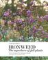 Ironweed. The superhero of fall plants. Find out why you should be growing this underused native beauty with a hardiness of steel. Plant-trial results