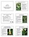 Lecture Plant List 2. Western water-hemlock. Carrot/Parsley, Cat-tail, Cypress, Dogwood, Evening Primrose, Figwort, Geranium