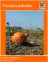 Pumpkin activities. Farming & Countryside Education Stoneleigh Park, Warwickshire, CV8 2LG