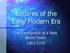 Empires of the Early Modern Era. The Emergence of a New World Order
