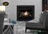 Direct Vent Gas Fireplaces FEATURING