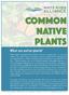 COMMON NATIVE PLANTS. What are native plants?