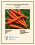 A PROFILE OF THE SOUTH AFRICAN CARROT MARKET VALUE CHAIN 2016