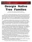 Georgia Native Tree Families